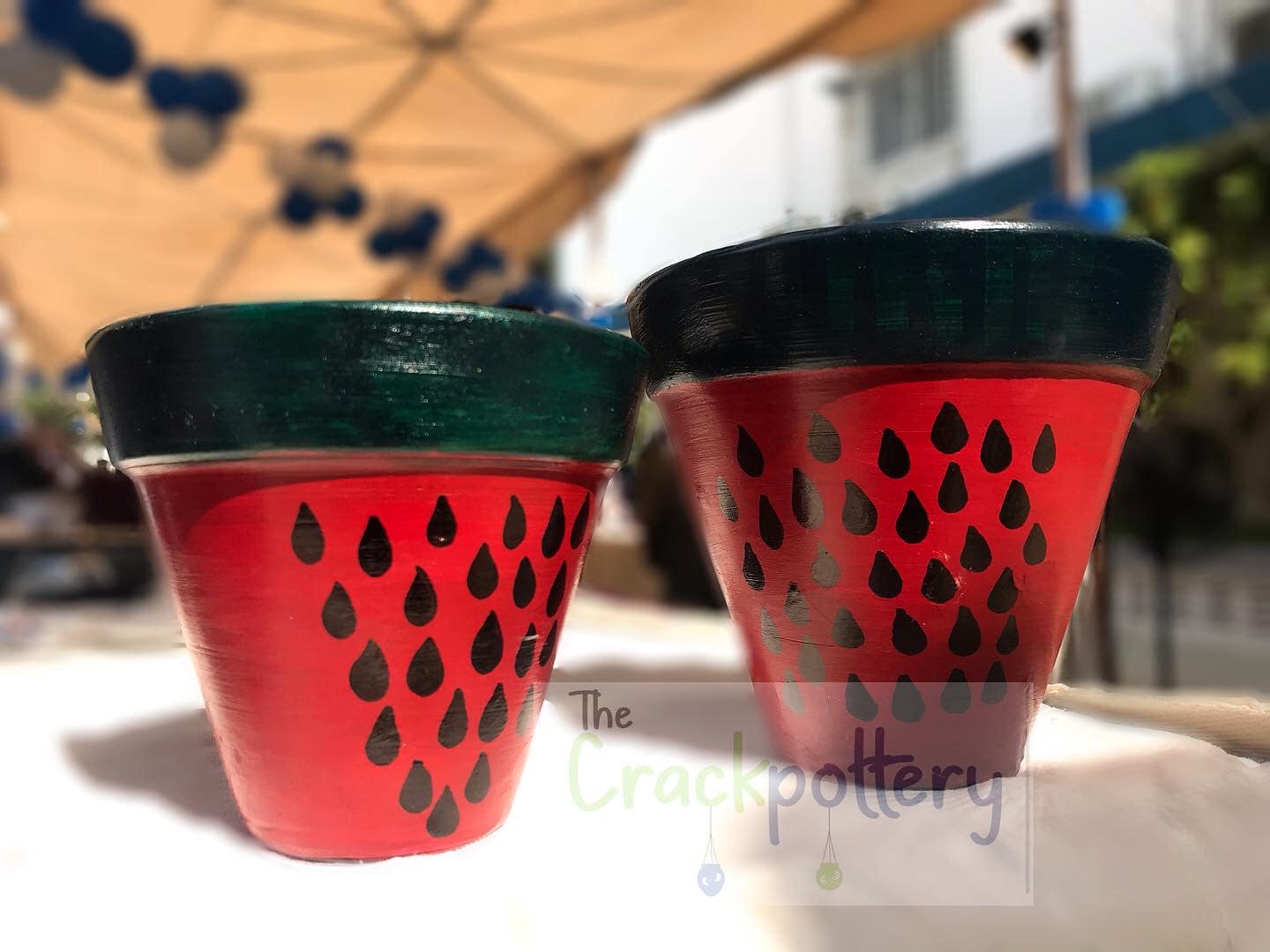 the_crackpottery