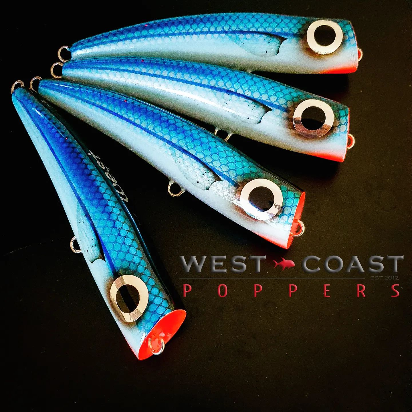 SKAGIT DESIGNS - PUMP👑KING 190 King of Poppers! Lure the target