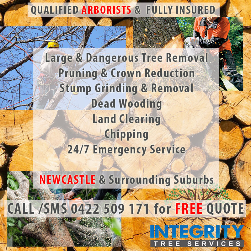 Integrity Tree Services - Home