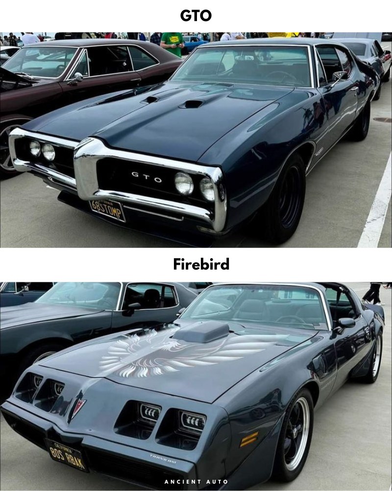 1969 Pontiac & 1970 Thunderbird