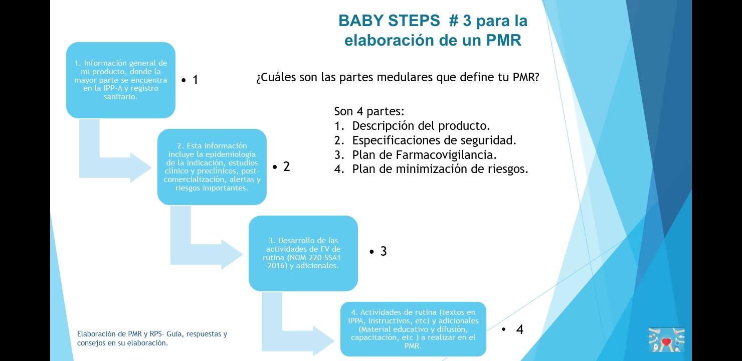 Elaboración de PMR y RPS -Guía, respuestas y consejos en su elaboración