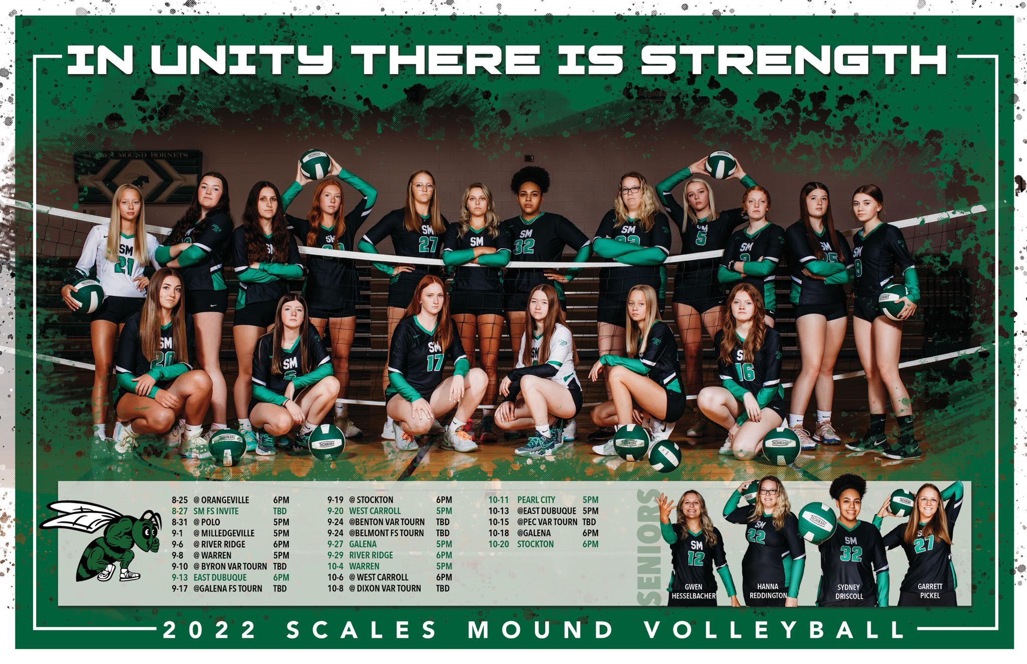 Scales Mound Volleyball