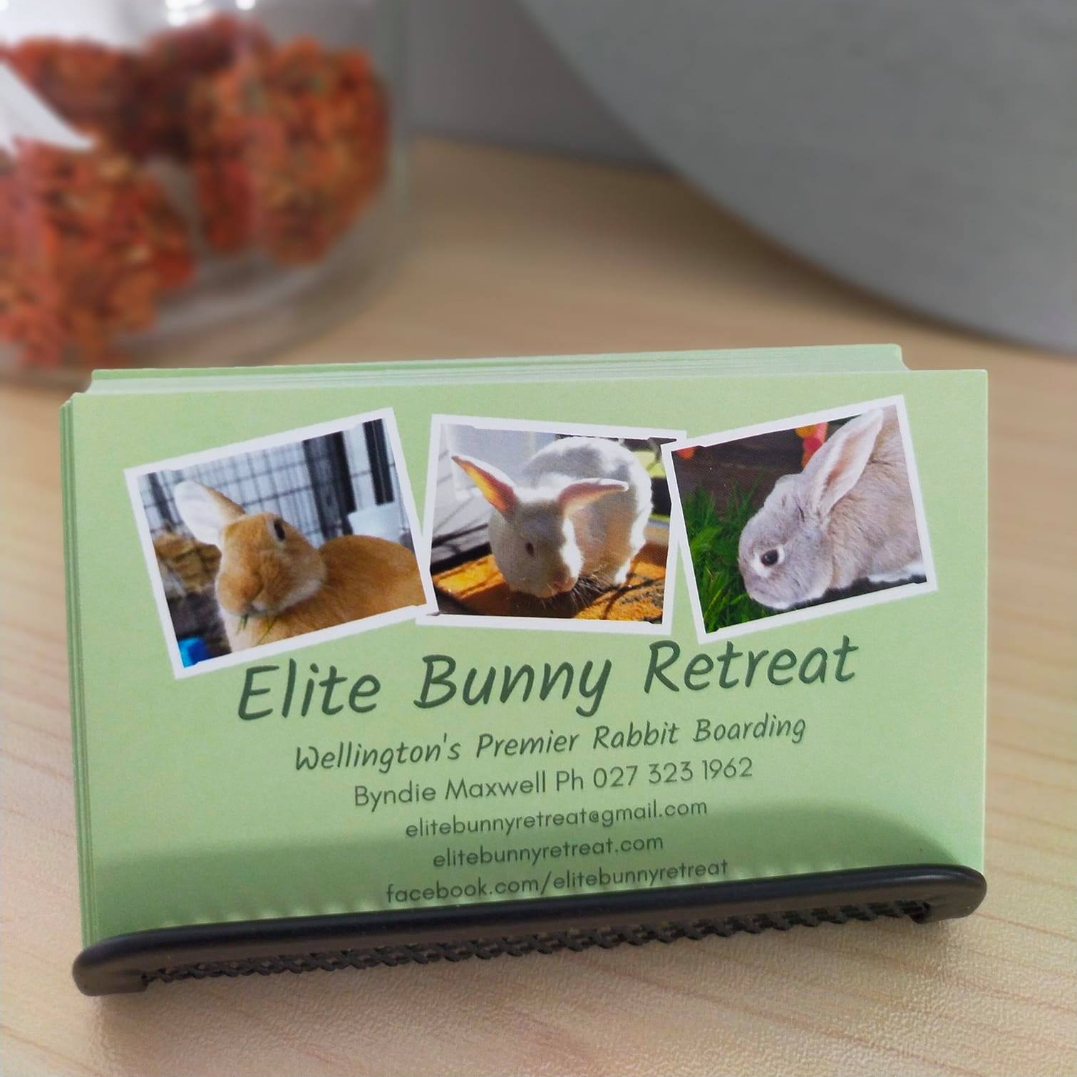 Willow 🤍🐇 Elite Bunny Retreat | Elite Bunny Retreat