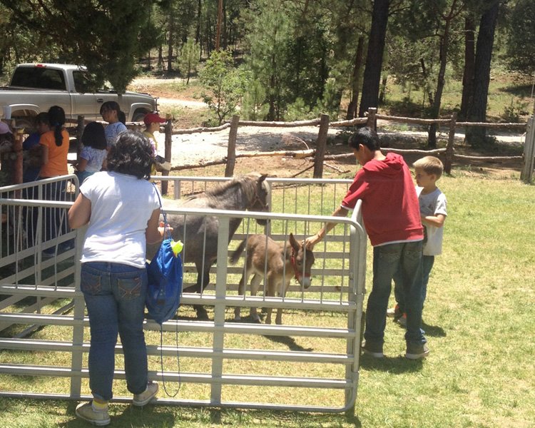 Runyan Ranches | Mayhill NM