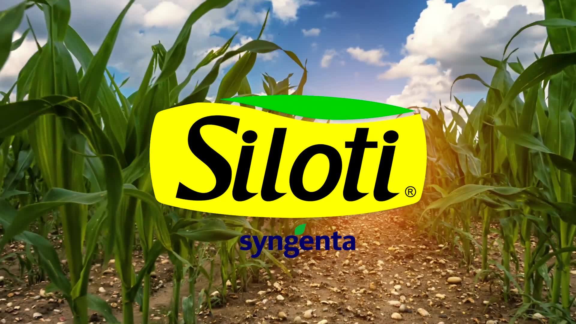 Siloti Agrícola e Indústria | Assis Chateaubriand PR