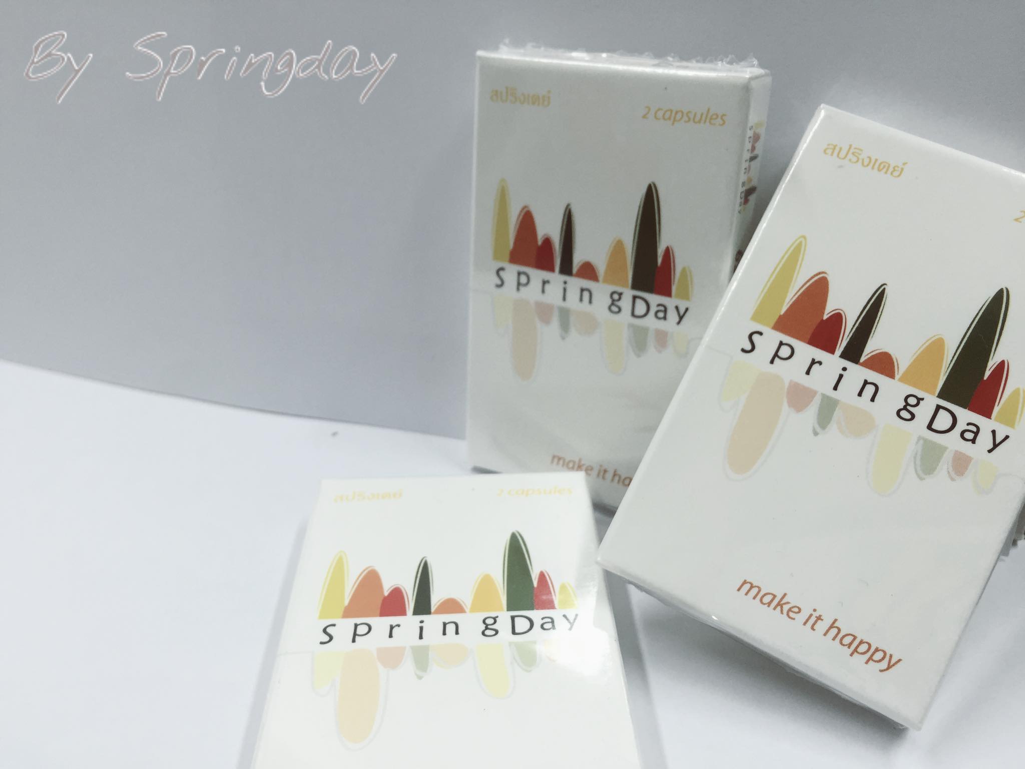 Spring Day Corp