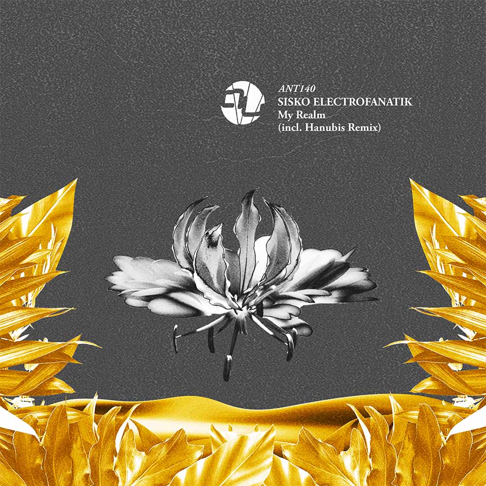 The late Susumu Yokota's deep, linear, heady take on techno as