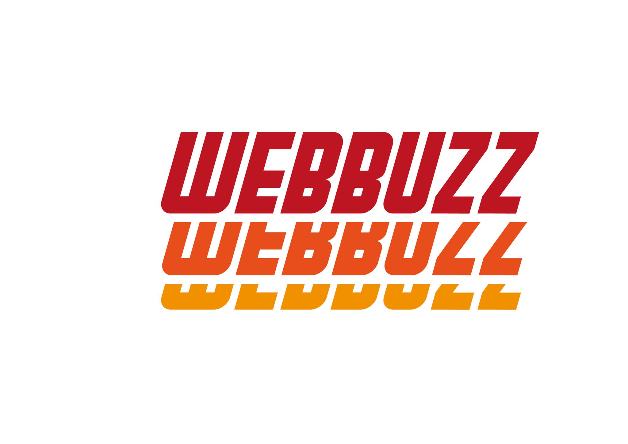 WEBbuzz Computer Center | Balayan