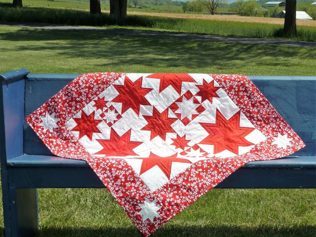 Phyllis Reeves The Valley Quilter