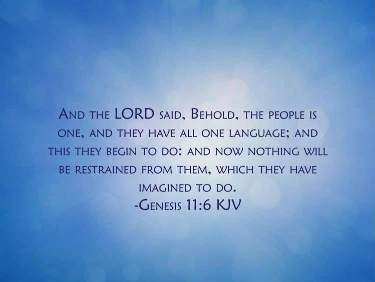Author Rhonda Wright - Scripture Highlight from 