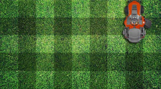 Strassco Property Services Lawn Care