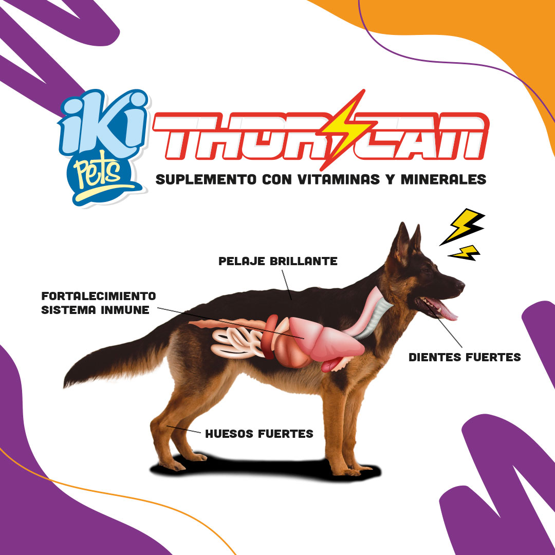 IKI PETS - 🐶Super perro = THOR⚡️CAN - Con thorcan tu...