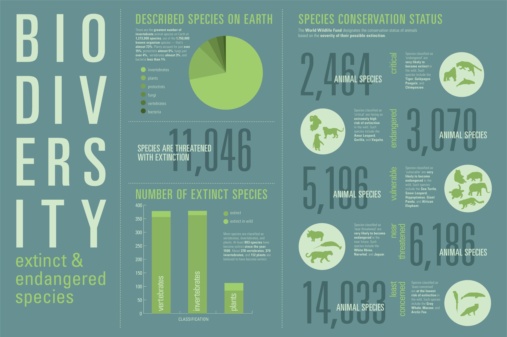 WCS Malaysia - This is a pretty cool poster on extinct and...