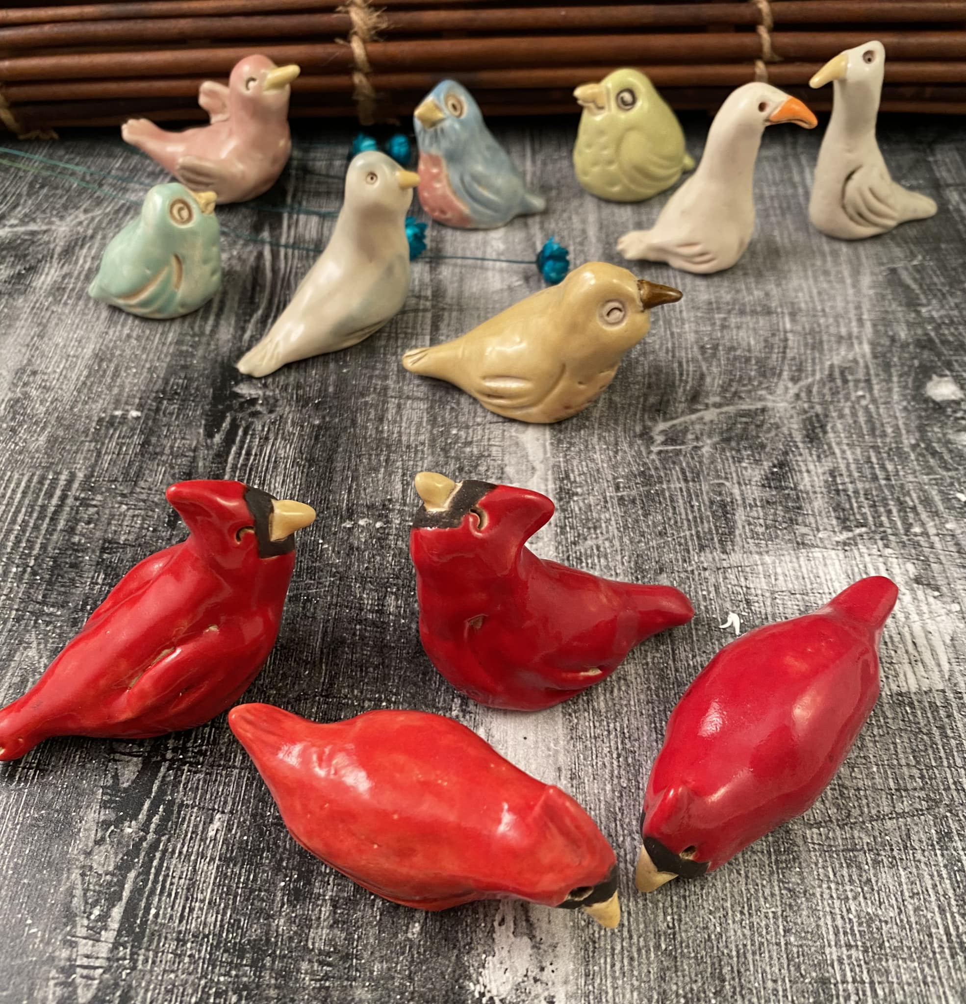 Look at these tiny new arrivals 🐦