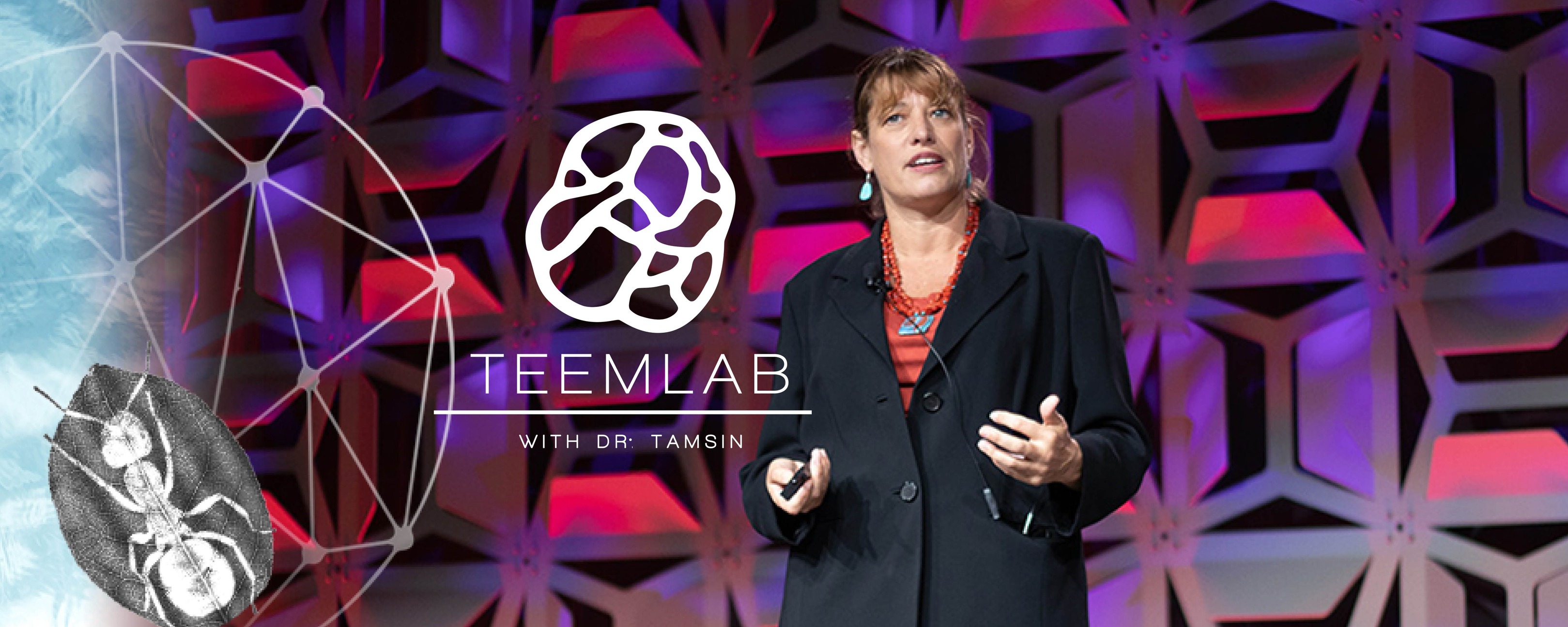 TEEMLab with Dr. Tamsin