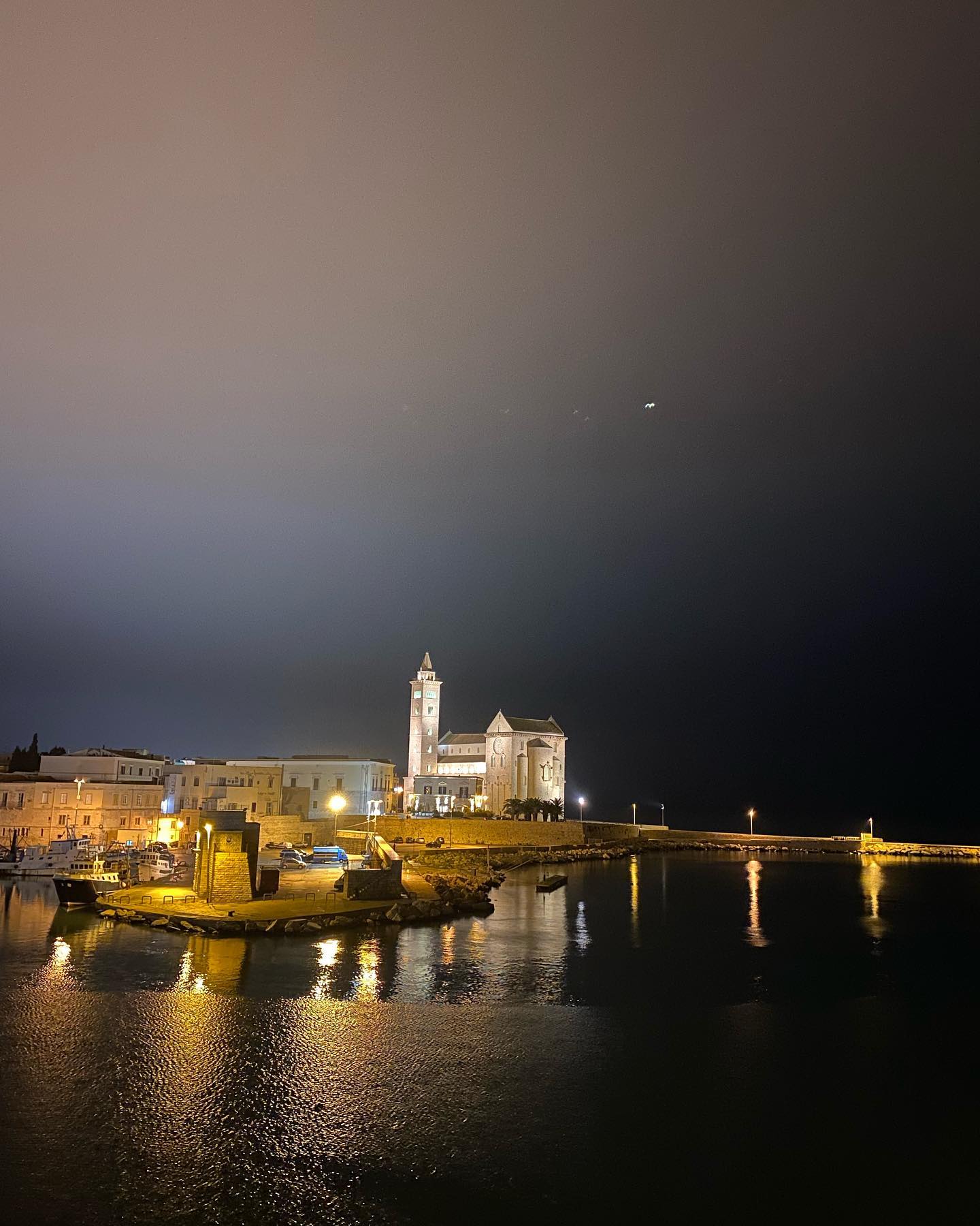 FLo. - Cattedrale e Porto - Trani (BAT) 🇮🇹 Una chicca,...