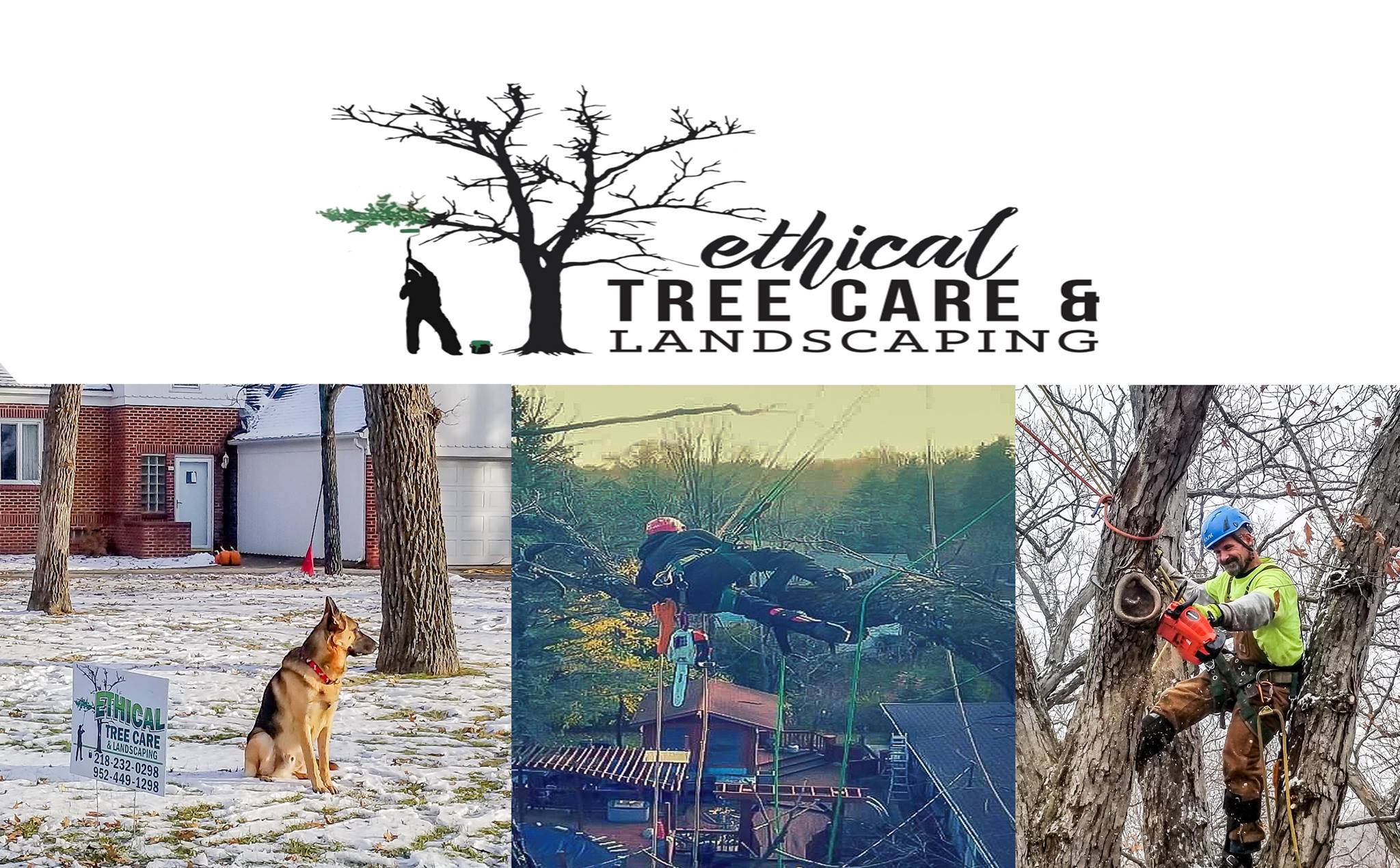Ethical Tree Care & Landscape