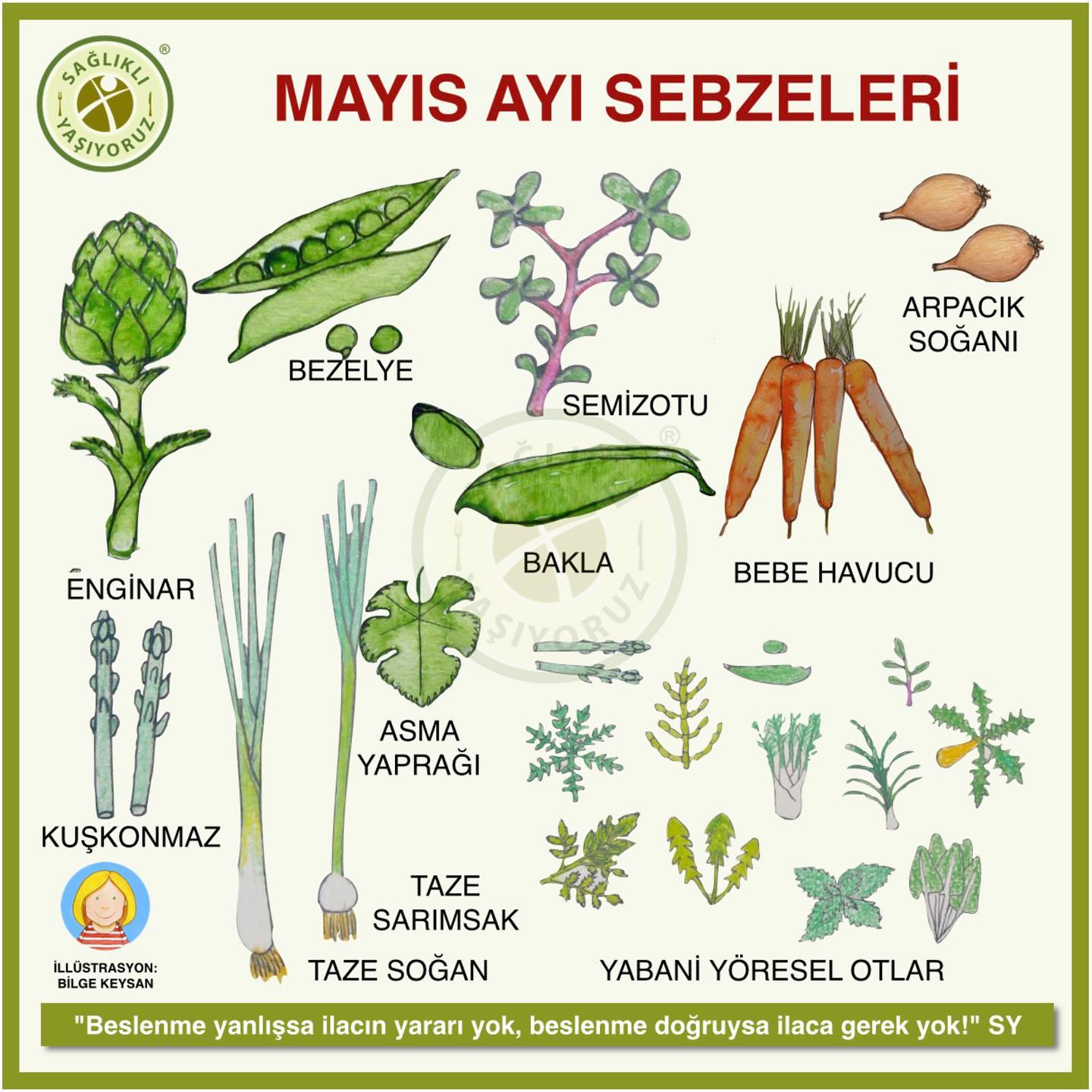 Sağlıklı Yaşıyoruz - MAYIS AYI SEBZELERİ Sağlıklı beslenenler sebze ve ...