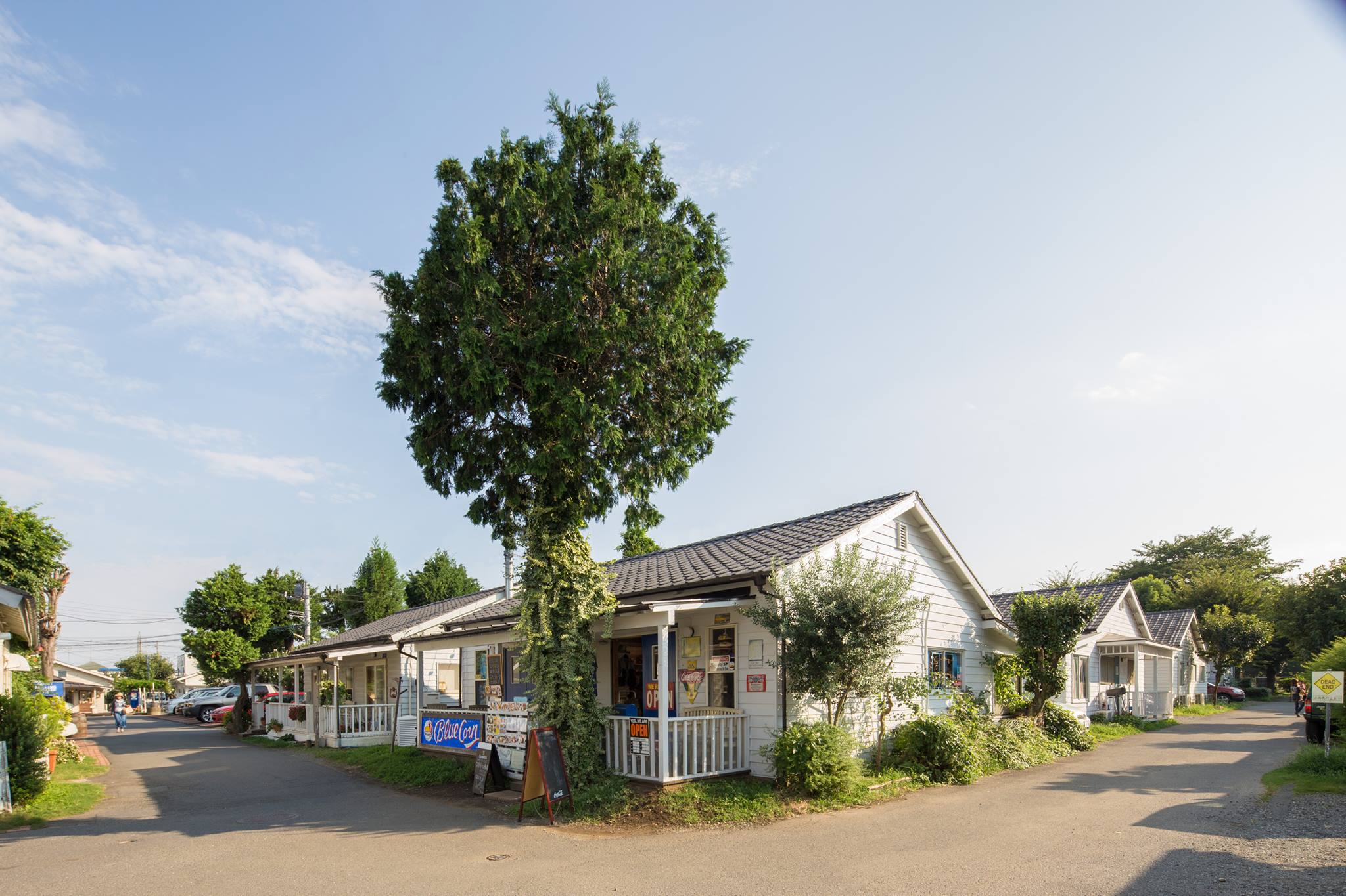 福州園・クニンダテラス - \『ひやみかちなはウォーク2022』申込受付中！／ 第9回 那覇市健康ウォーキング大会『ひやみかちなはウォーク ...