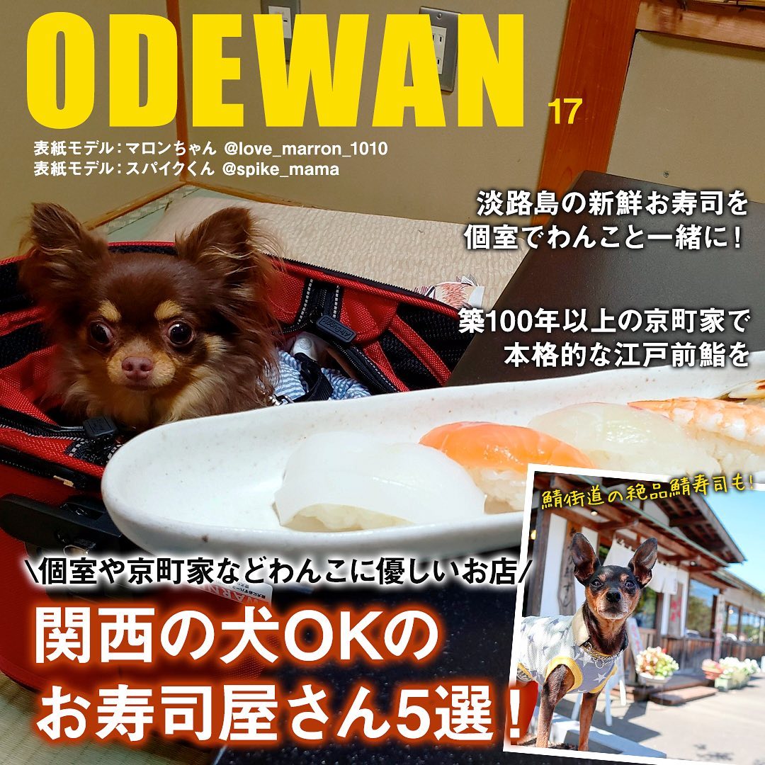 こんばんは おでかけわんこ部のけいです おでかけわんこ部 愛犬とのお出かけ情報まとめ 全国 Facebook
