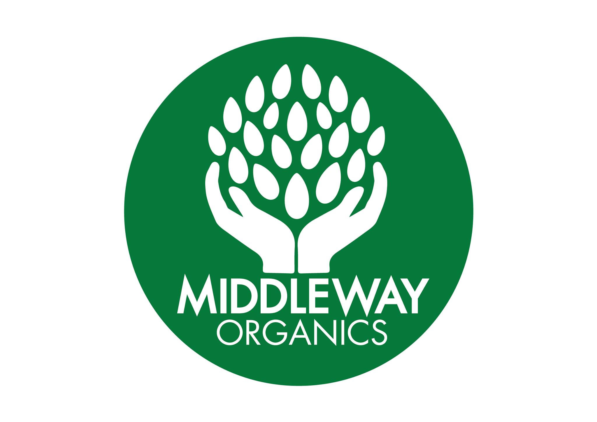 Middleway Organics - Brinjal (Eggplant) Scientific Name: Solanum ...