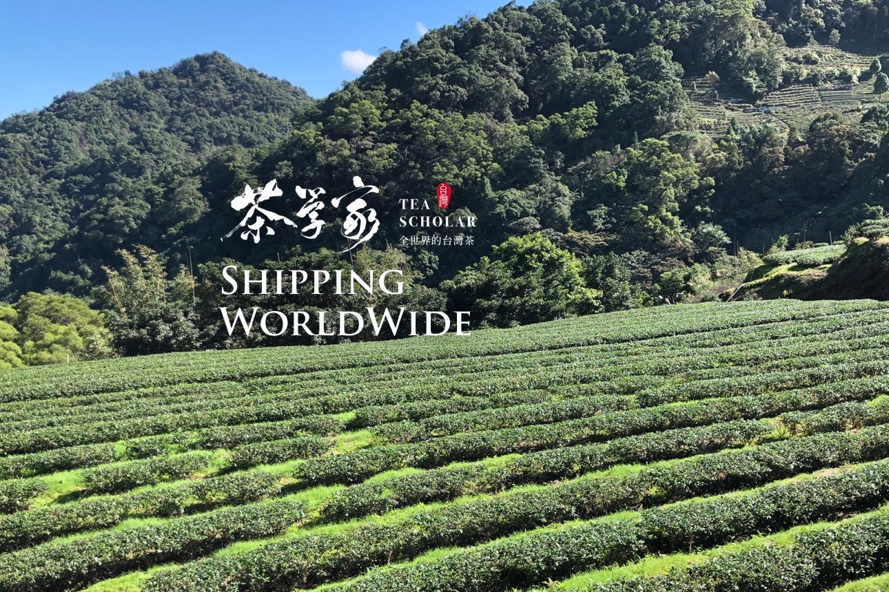 茶學家 Tea Scholar : 全世界的台灣茶 Taiwan Tea to World | Zhonghe District
