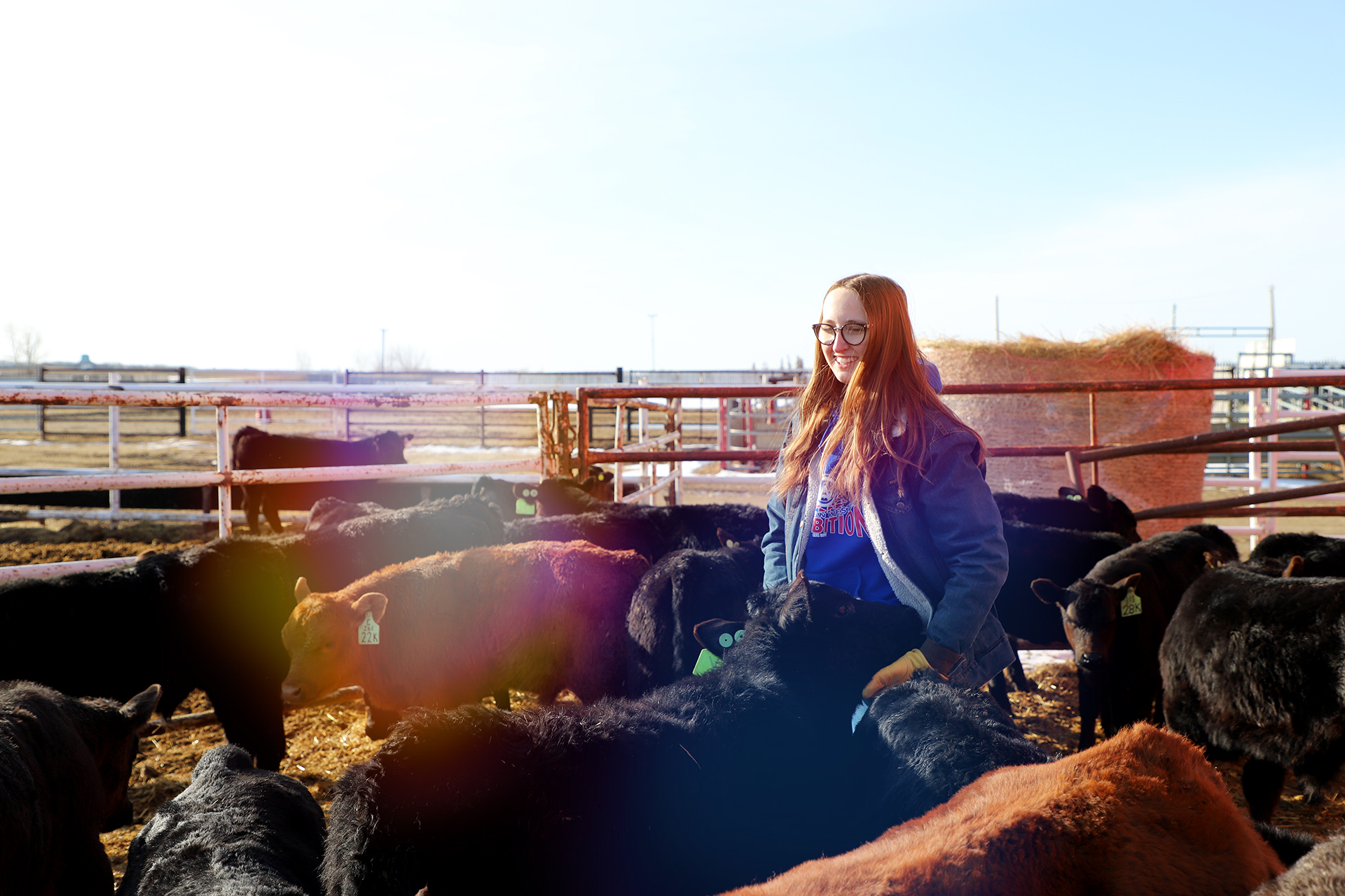 Lakeland College Canada - Agricultural Sciences | Vermilion AB