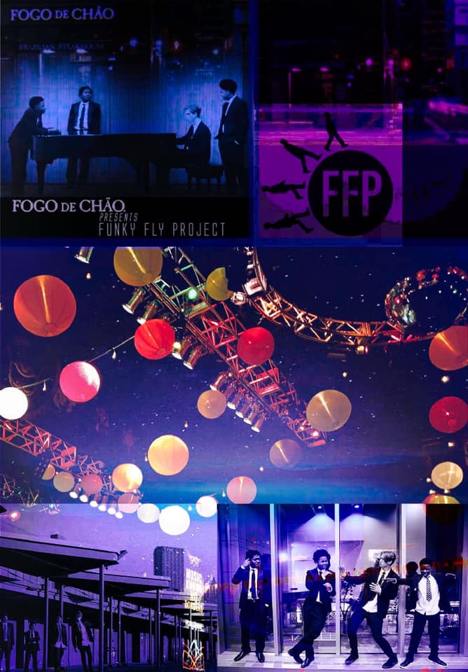 Funky Fly Project