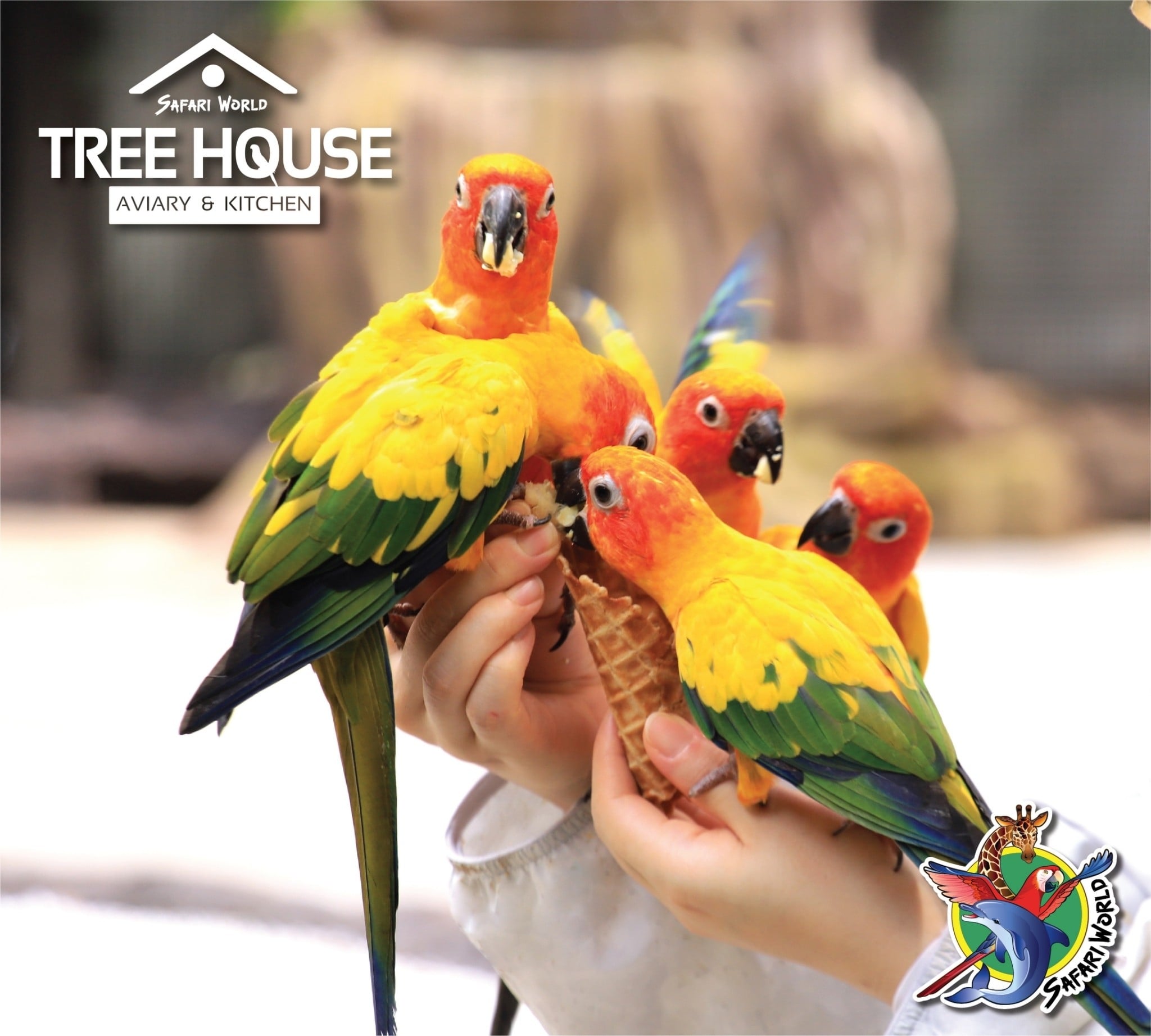 Safari World - 🔥NEW!! Tree House Aviary & Kitchen 🦜... | Facebook