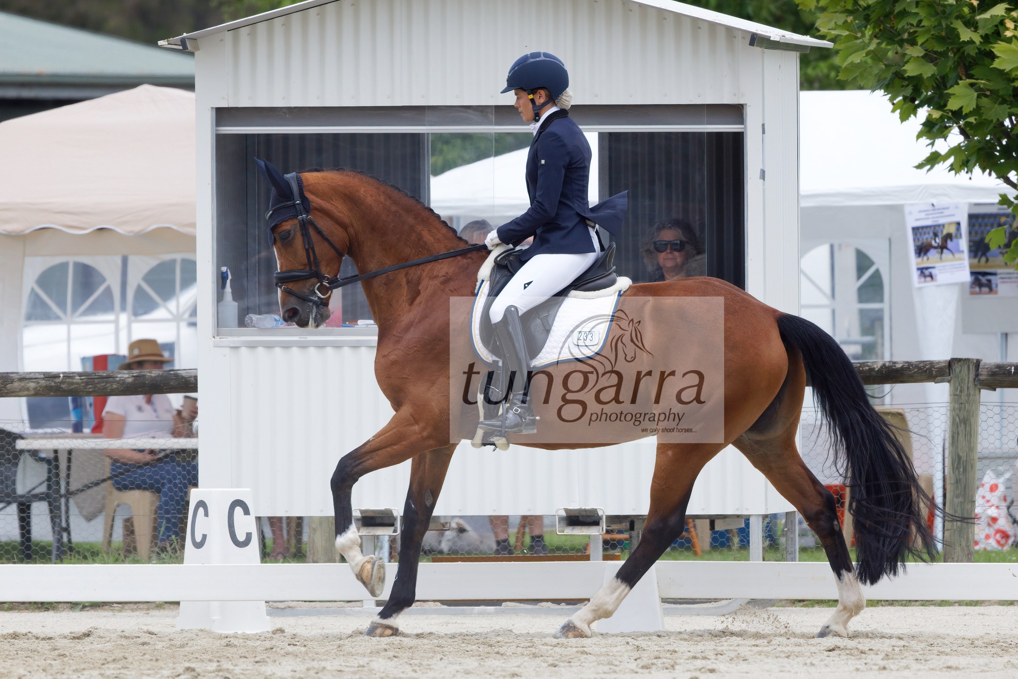 Tungarra Stud & Photography