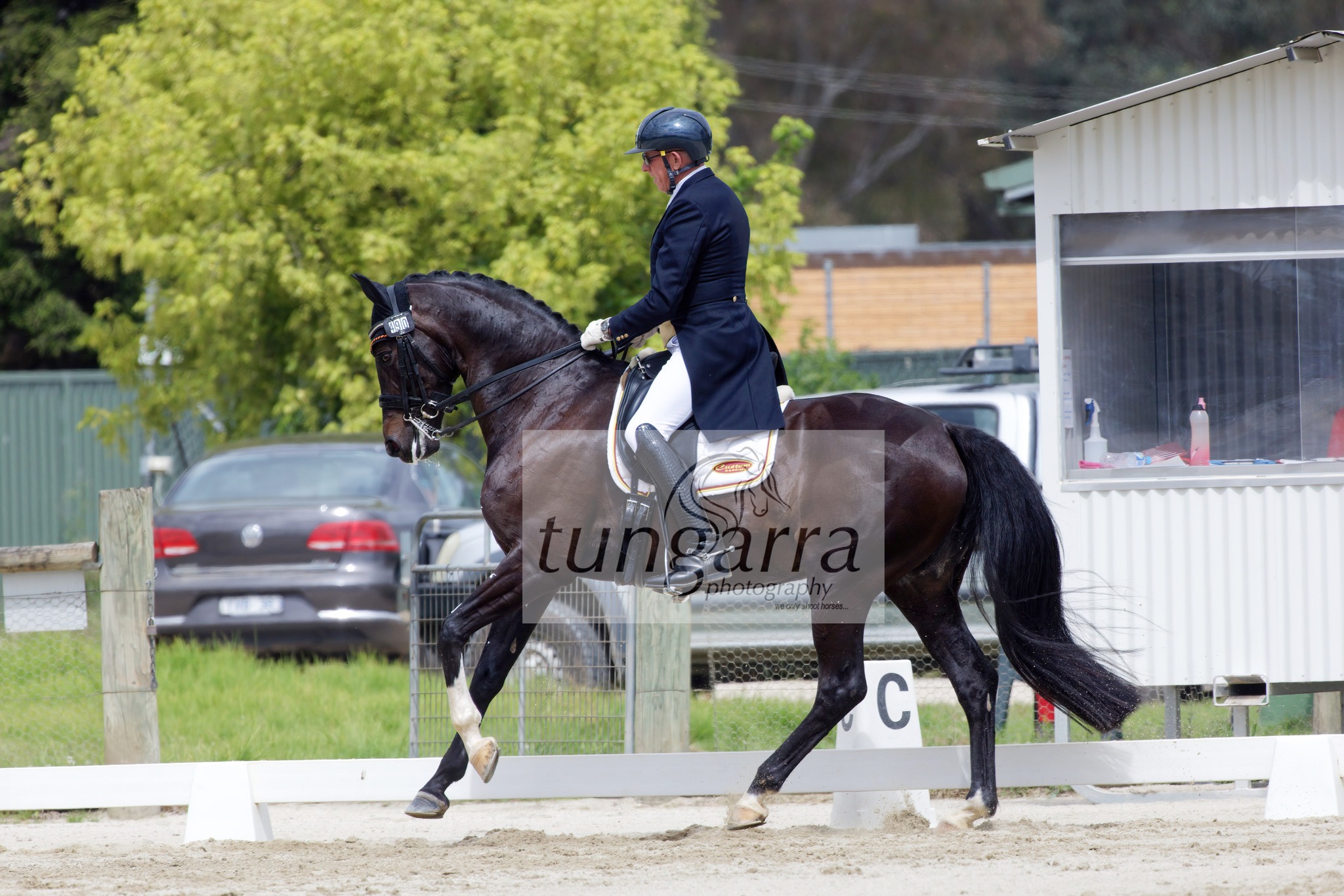 Tungarra Stud & Photography
