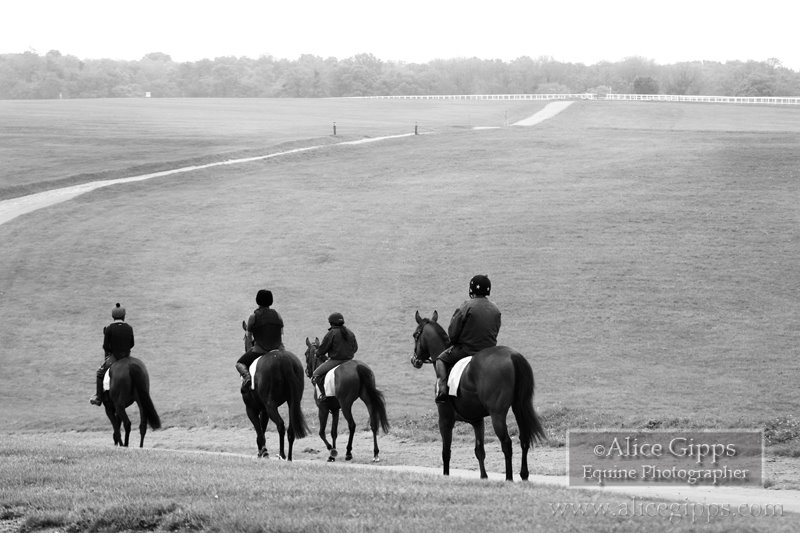 Roger Ingram Racing | Epsom