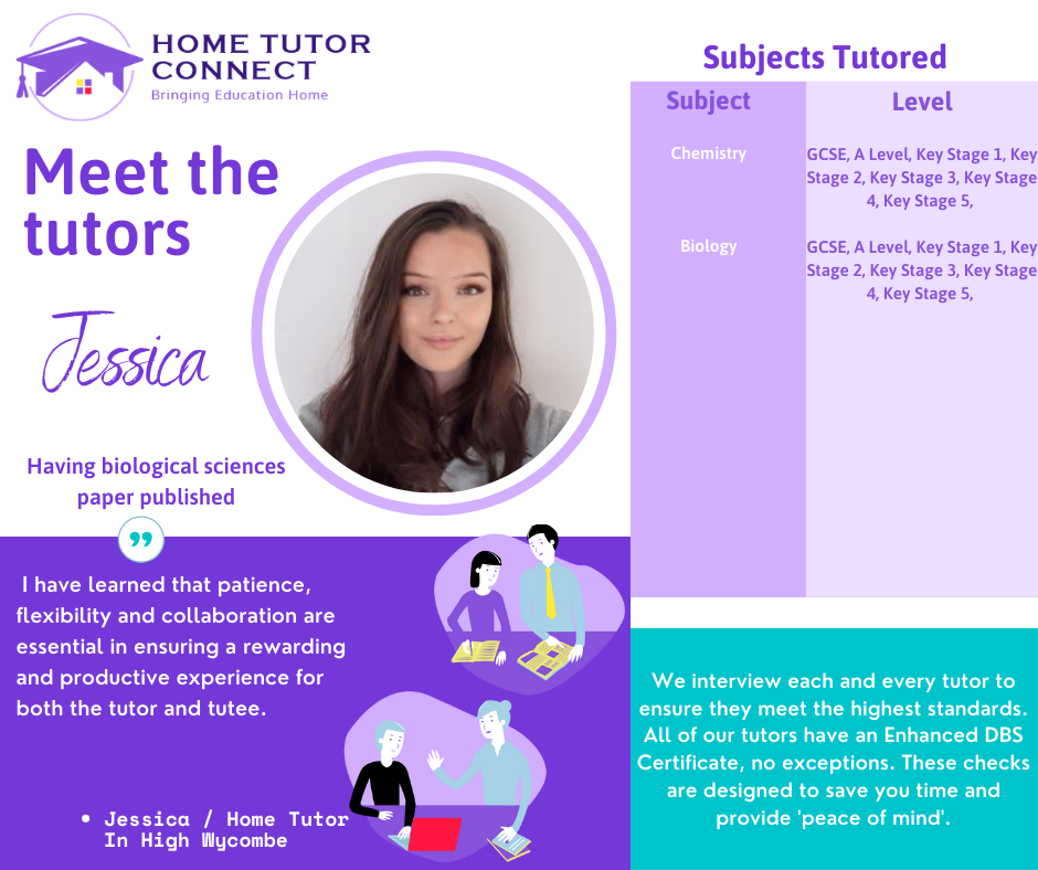 Home Tutor Connect