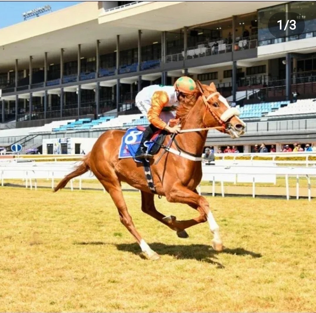Alec Laird Racing - Skiminac won nicely for S'manga Khumalo for Grant ...