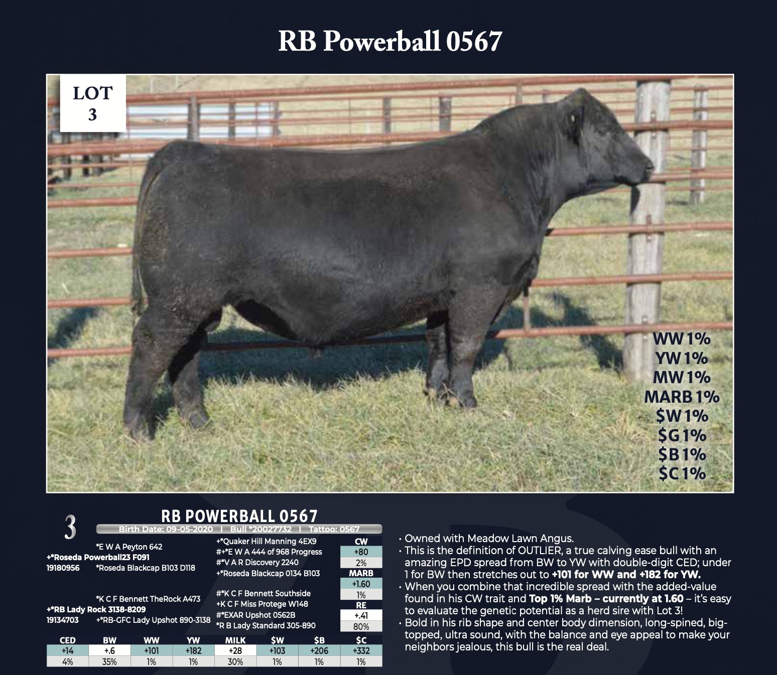 ⚠️ Lot 3 RB Powerball 0567 is the... - Riley Brothers Angus | Facebook