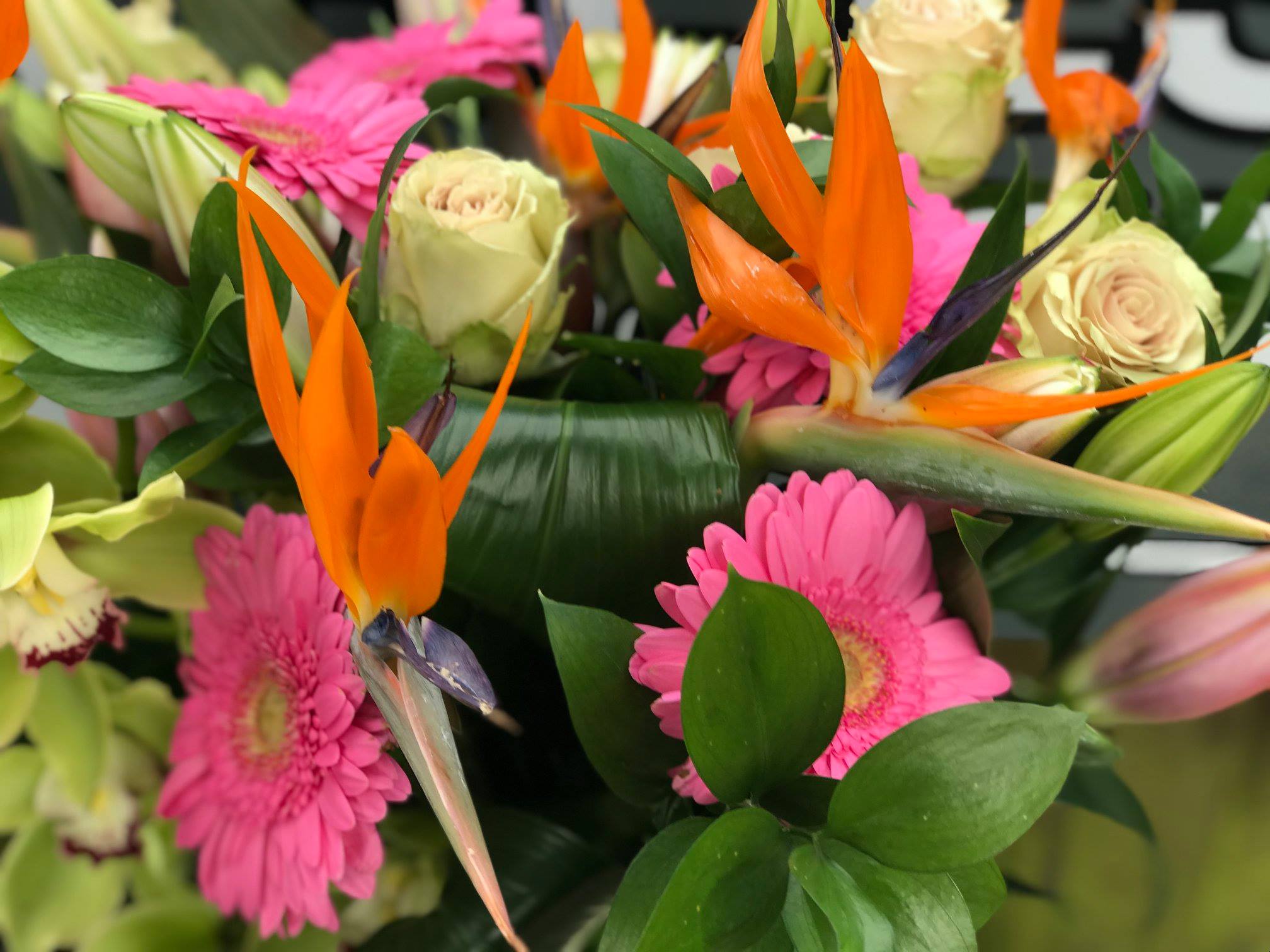 Box Trees Flowers | Solihull