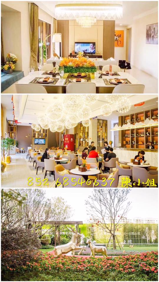 中山珠海免費睇樓團 - 🎉#中山純住宅·#港澳朋友日日免費睇樓團 🆓【#全程免費·#當日來回 #報銷船票車票🚗🚗午餐😋】 點擊獲取詳情 ：👉👉 ...