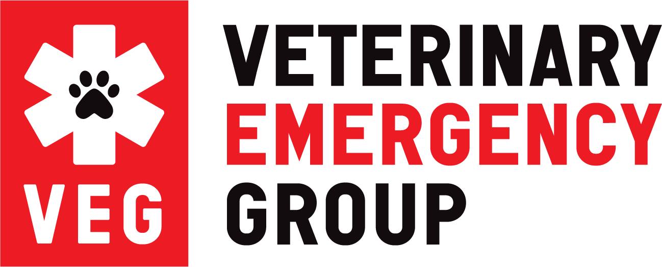 Veterinary Emergency Group Boynton Beach