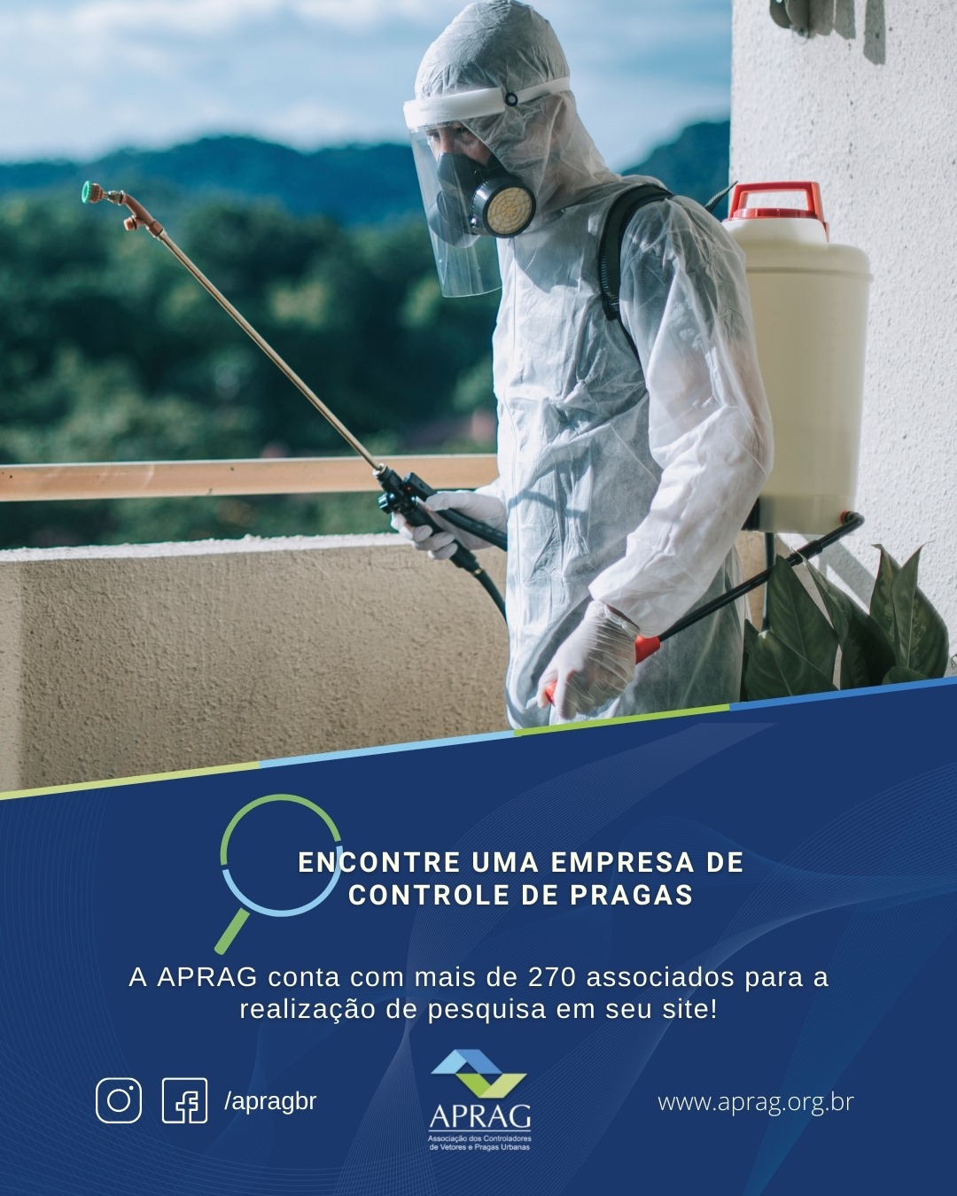 A presença de pragas urbanas em residências pode se tornar uma situação ...