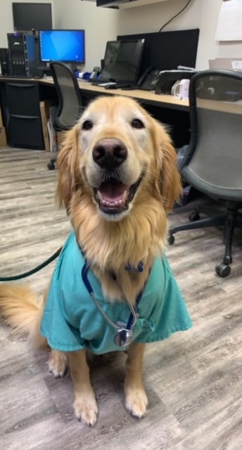 Millcreek Animal Hospital Shawnee Ks