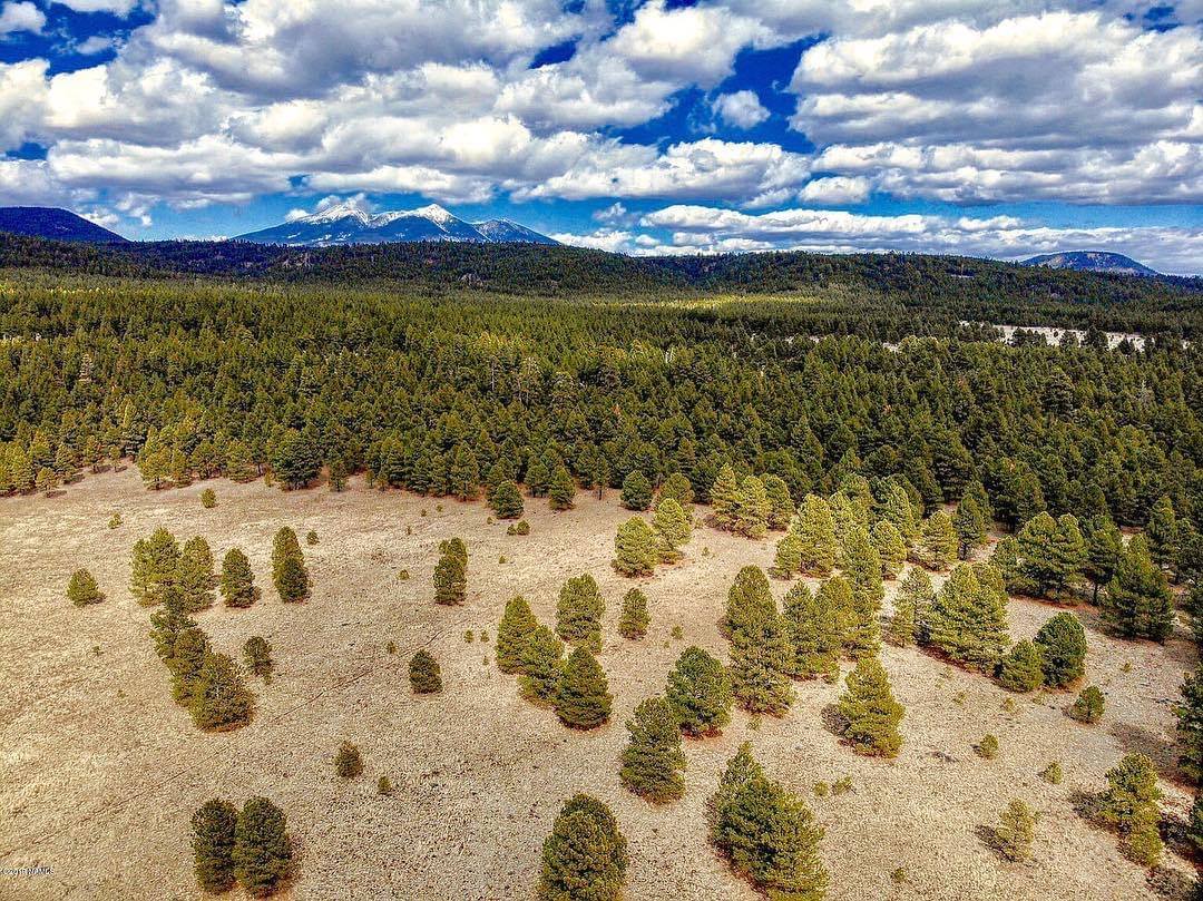 Woodland Edge Flagstaff Vacation Rental Flagstaff AZ