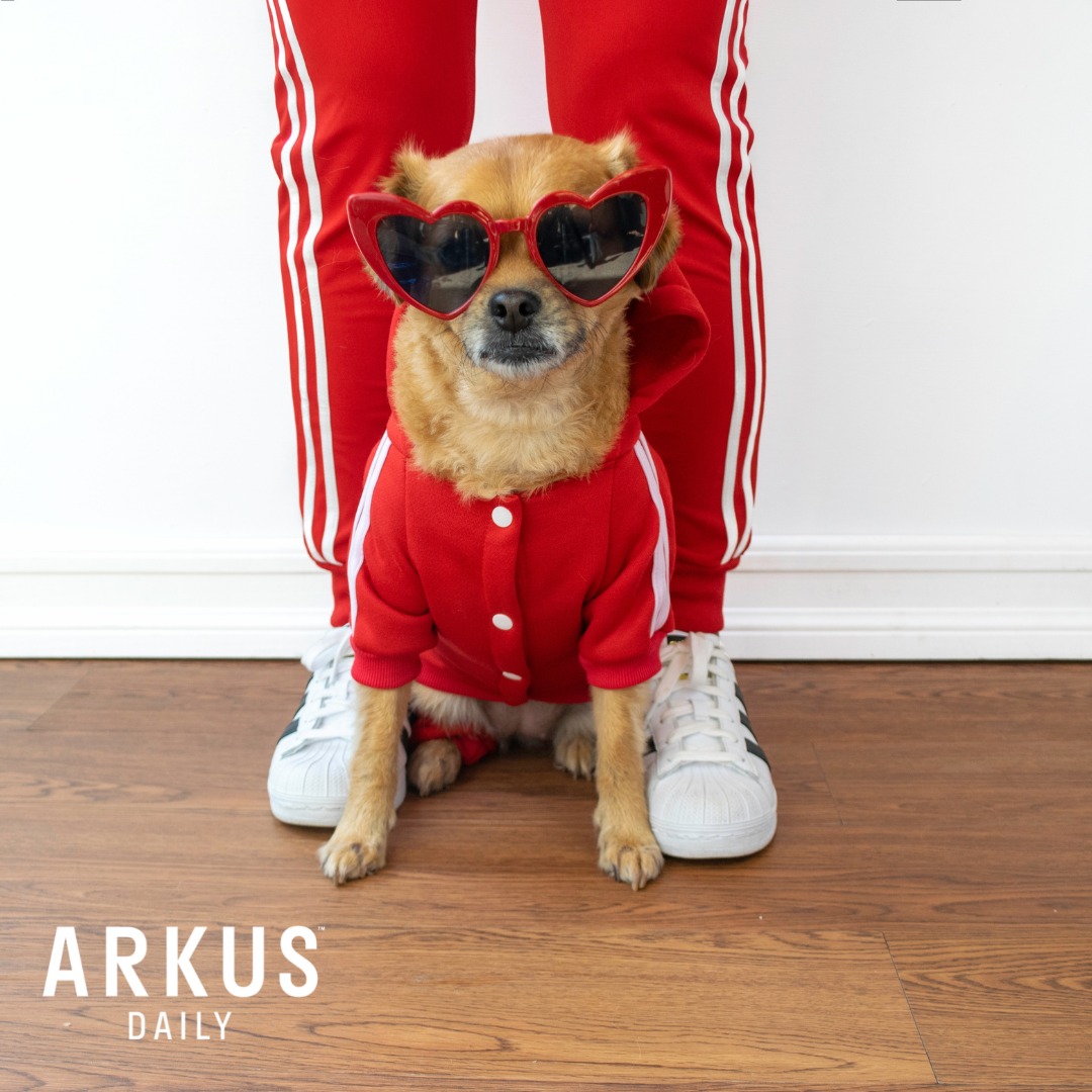 Arkus Daily | San Diego CA
