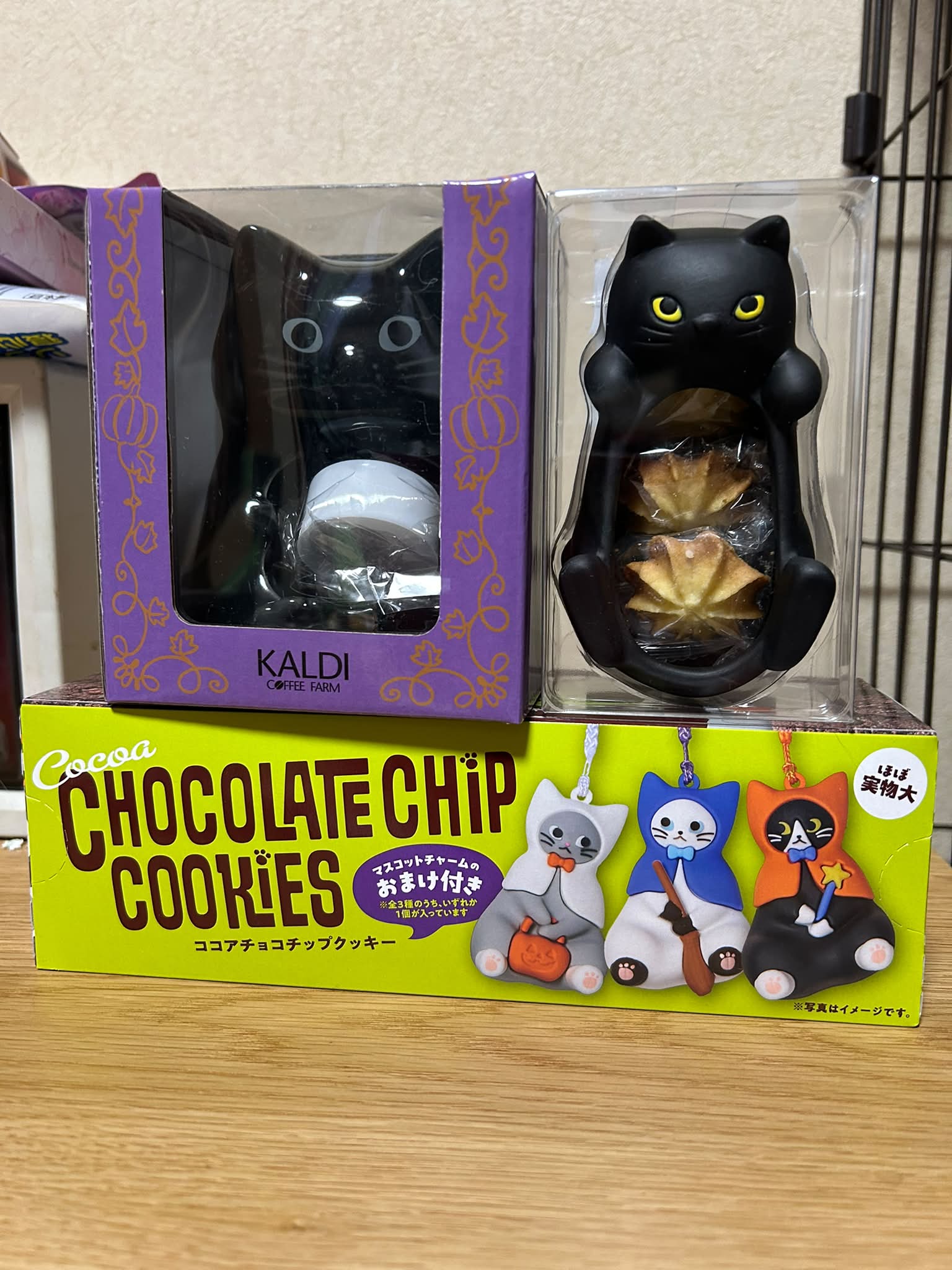 保護猫くろた🐈‍⬛（仮名）