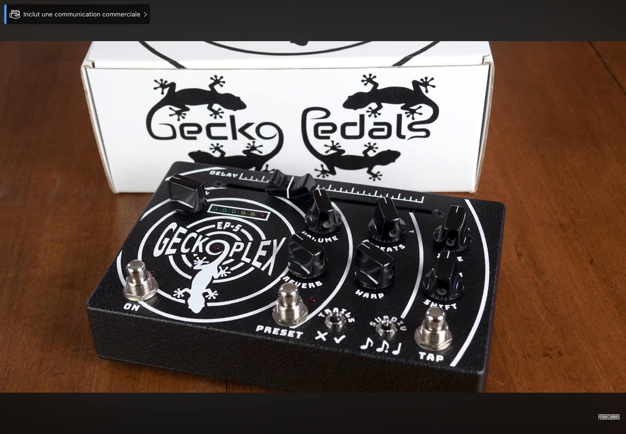 Does someone knows this ? Geckoplex EP-5 by Gecko Pedals clone of