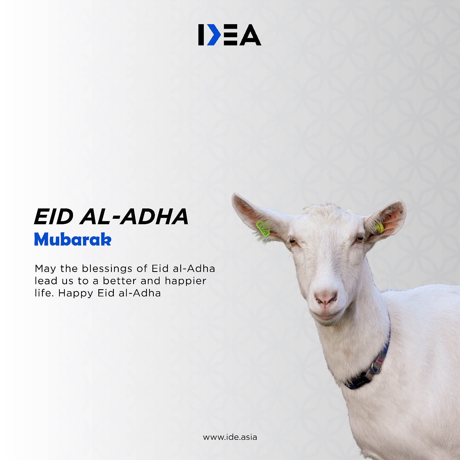 IDE Asia