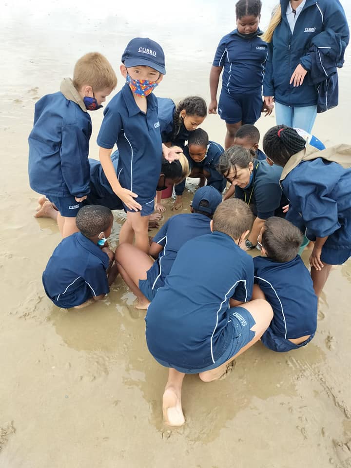 Curro Westbrook - On Friday our Grade 2 learners had an...