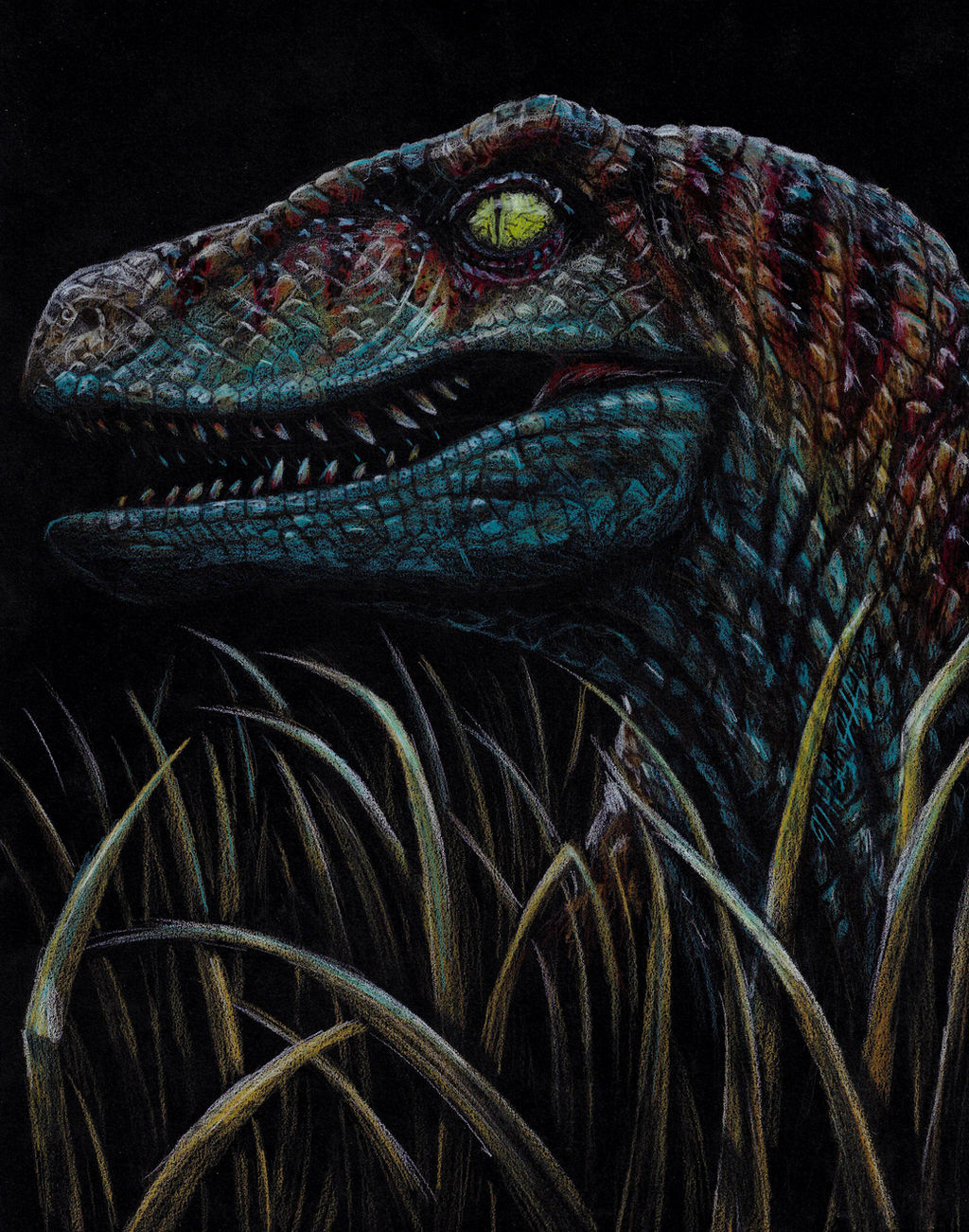 Realistic Velociraptor Drawing