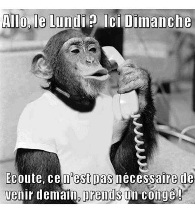 The Delire 2 0 Facebook