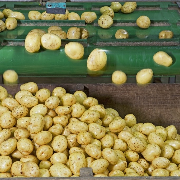 https://www.foodmachinesale.com/fruit-processing-machine/aloe-cactus ...