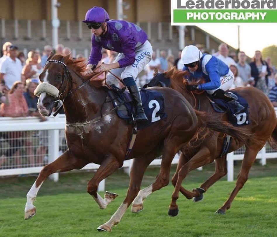 Admirable lad winning the 7:40... - Chelsea Banham Racing